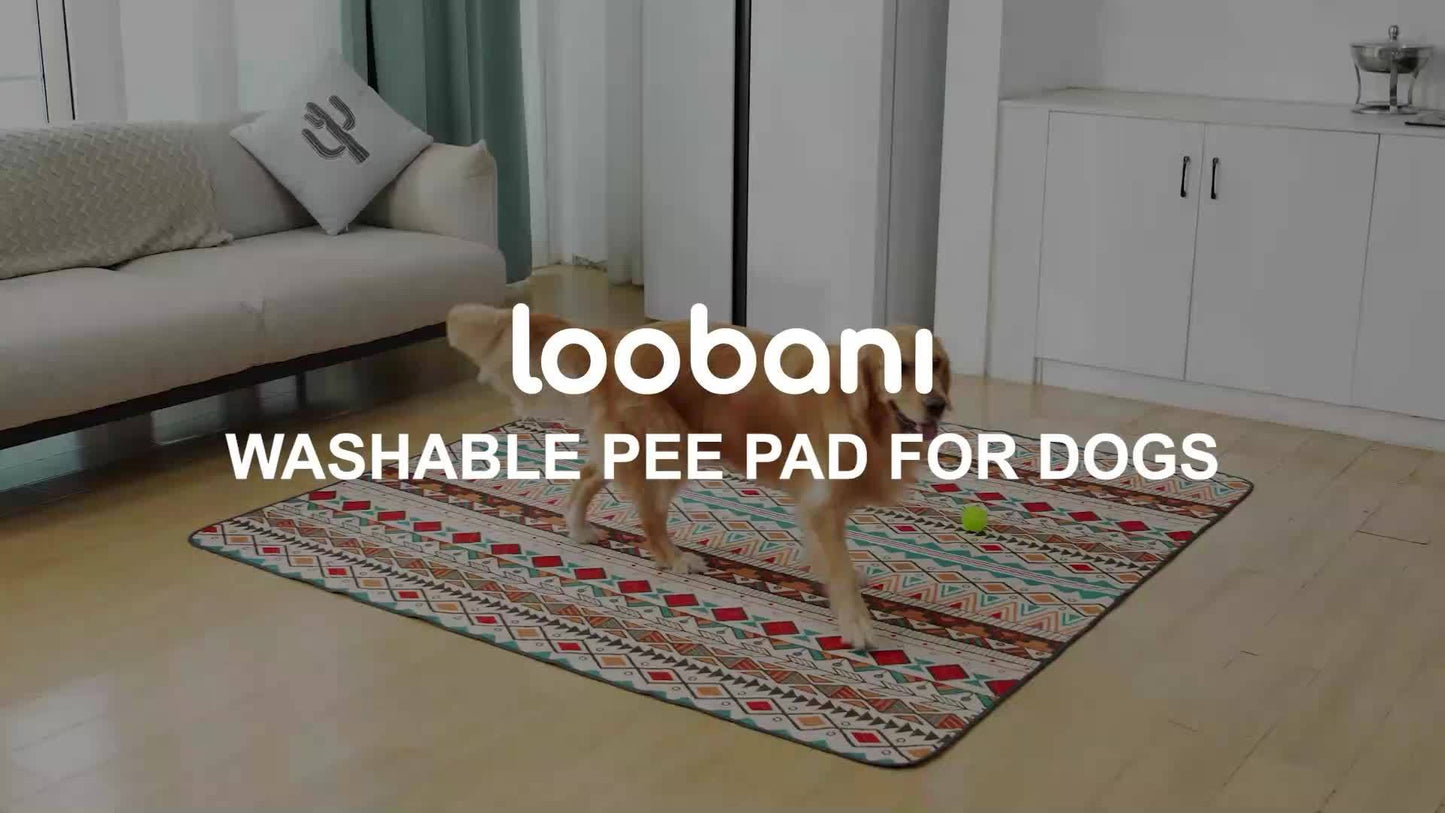 2 Pack Leak-Resistant Dog Training Pad - Absorbs And Locks Liquid, Odor-Controlling, Durable, Easy-to-Clean, Reusable, And Perfect For Daily Use