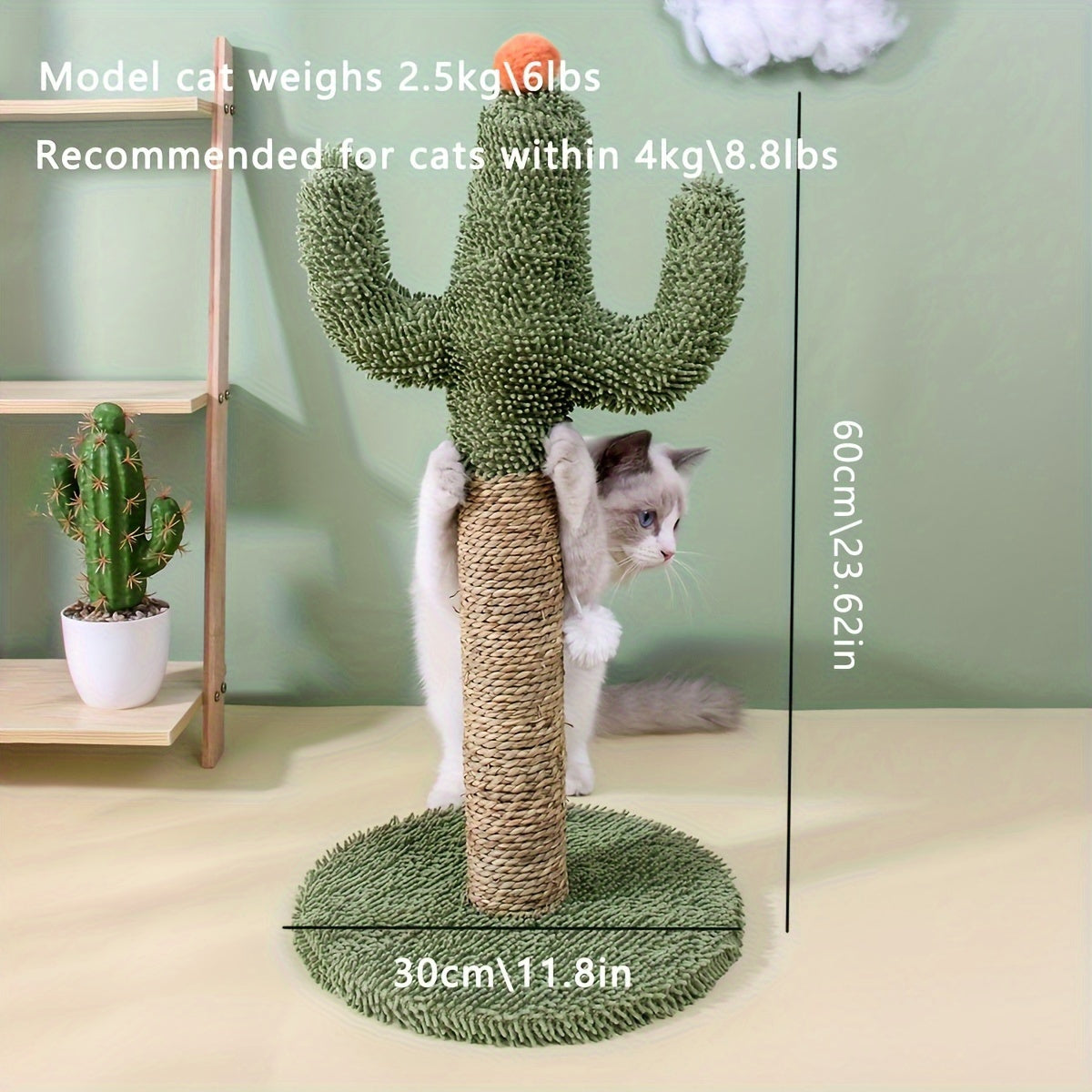 Durable Interactive Cat Scratcher Toy