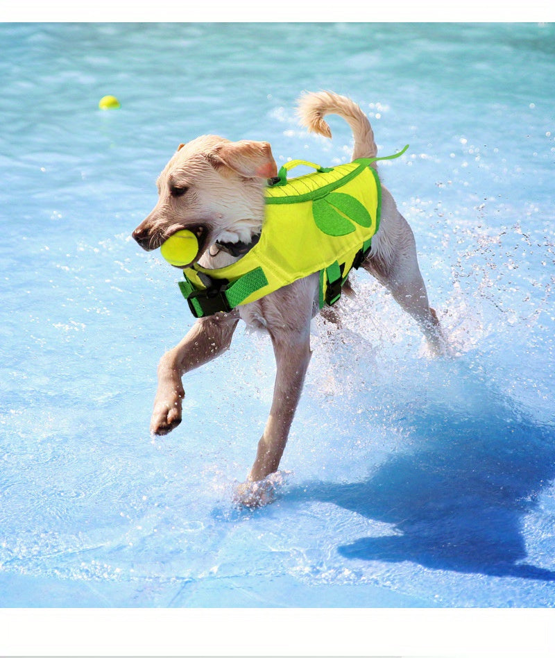 Summer pet life vest