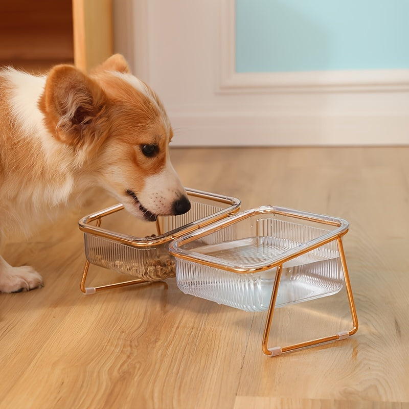Double Transparent Cat Bowl with Vertical Design