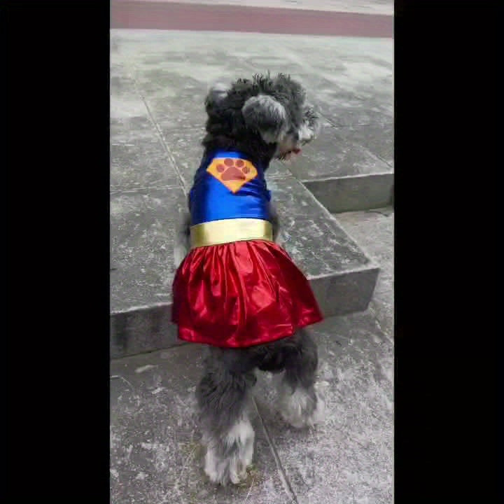 Sparkle In Style: Superhero Cosplay Pet Apparel