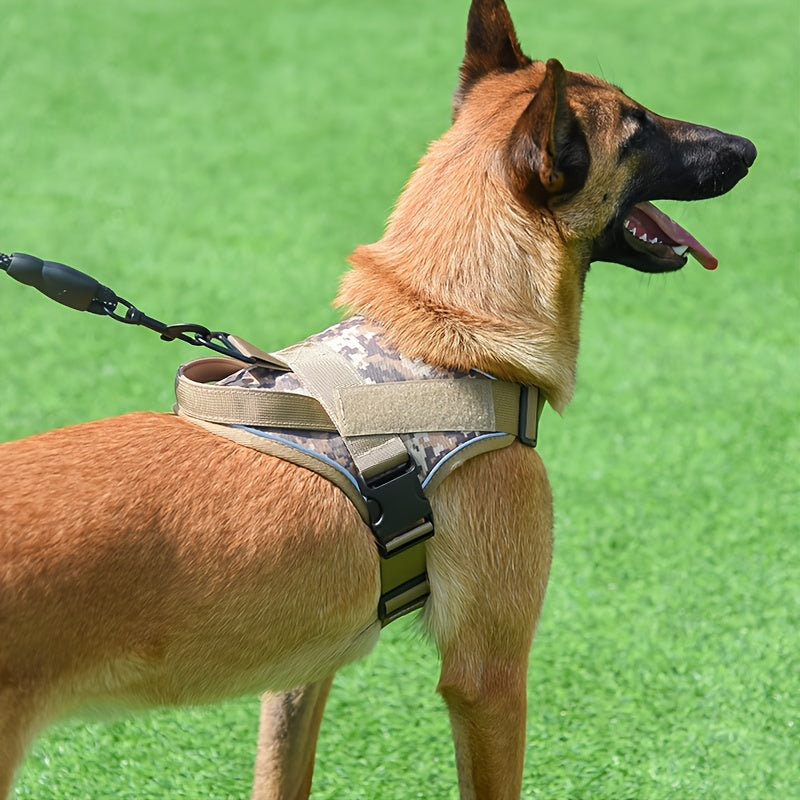 Faisca Reflective Dog Harness, Large & Medium Sizes, Polyester, Durable, Breathable, Waterproof, Adjustable, for Leash Training, Outdoor Walking, Pet Supplies