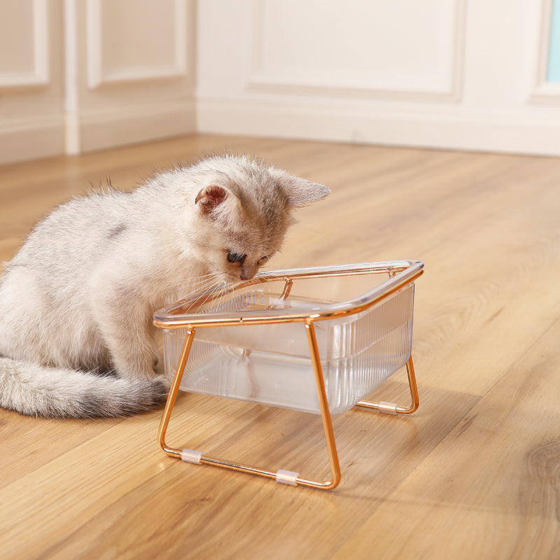 Double Transparent Cat Bowl with Vertical Design