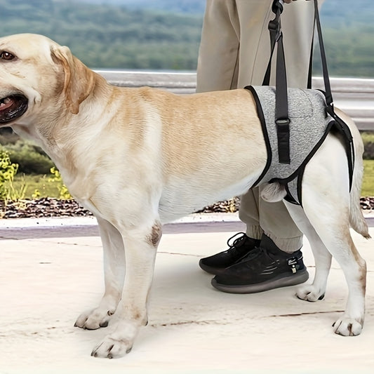 New Pet Supplies Injured Dog Hind Leg Support Harness Elderly Injured Dog Recovery Belt Assisted Traction