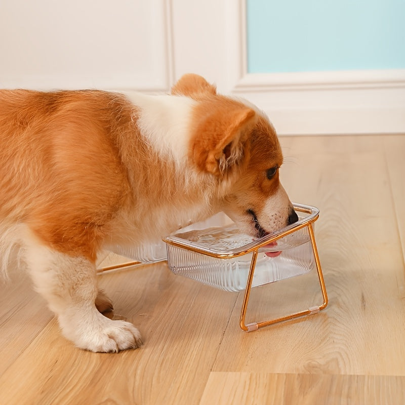 Double Transparent Cat Bowl with Vertical Design