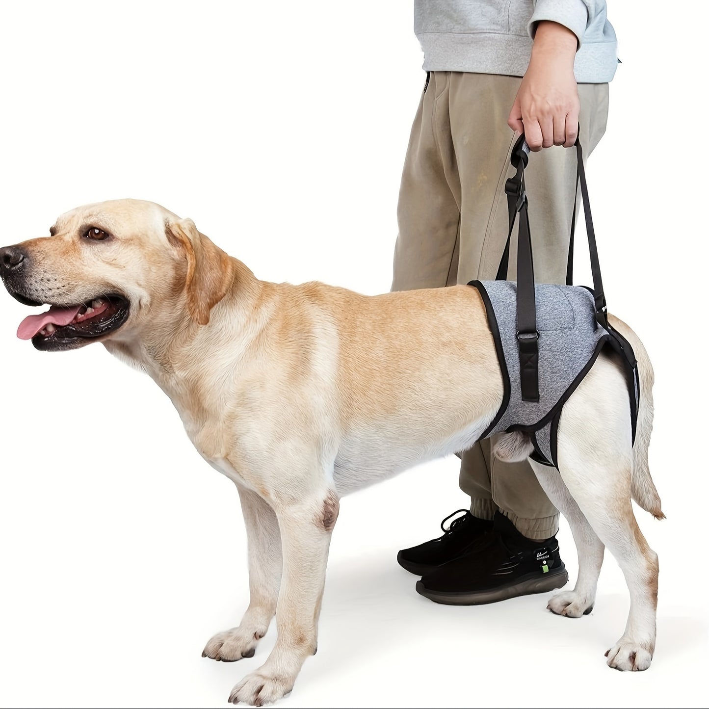 New Pet Supplies Injured Dog Hind Leg Support Harness Elderly Injured Dog Recovery Belt Assisted Traction