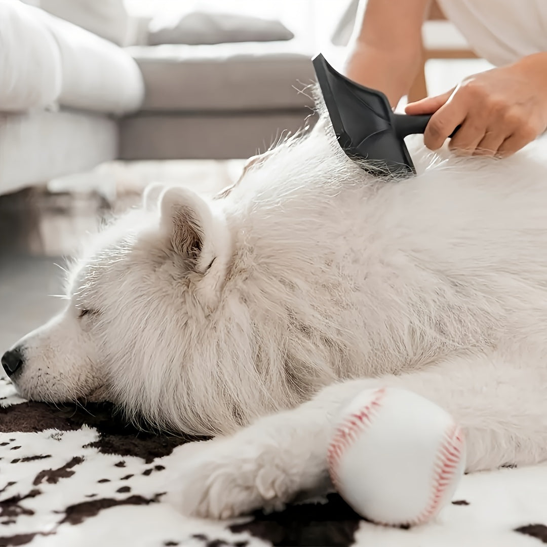 Extended Non-Slip Handle Professional Grooming Dog Rake Brush